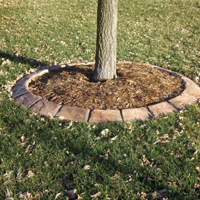 tree circle services in colorado