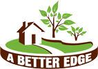 a better edge logo